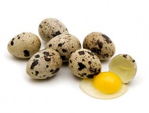 Terapija prepeličjim jajima